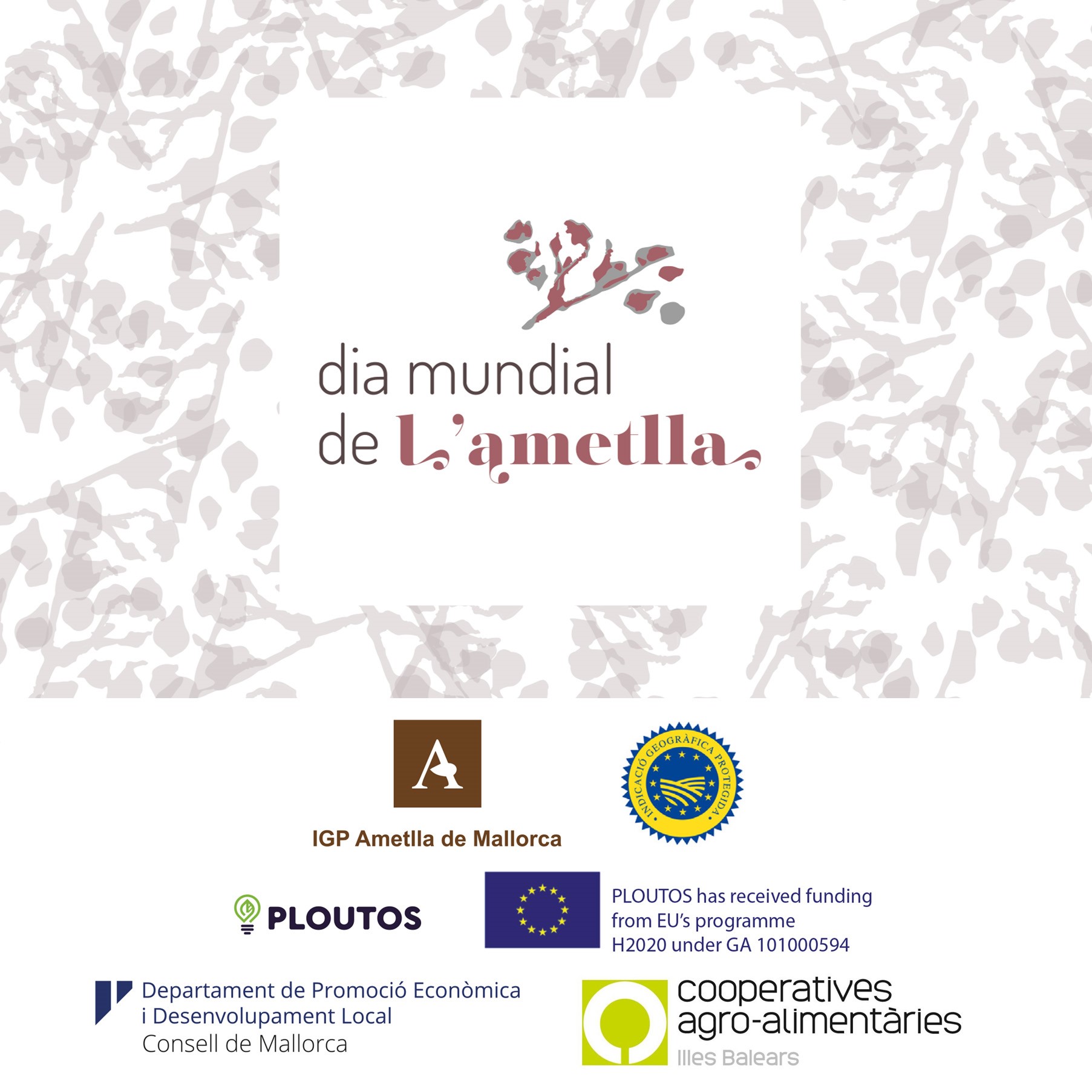 La IGP Ametlla de Mallorca celebra el Dia Mundial de l’Ametlla - Notícies - Illes Balears - Productes agroalimentaris, denominacions d'origen i gastronomia balear